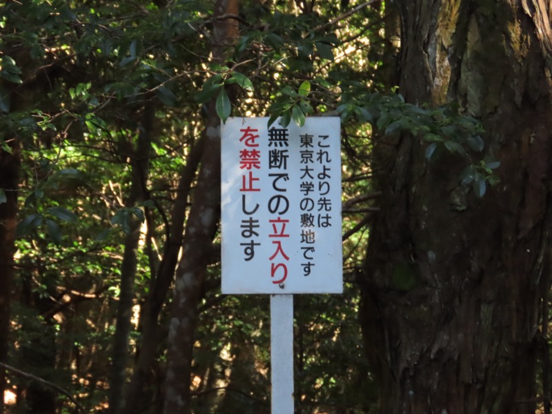 〓