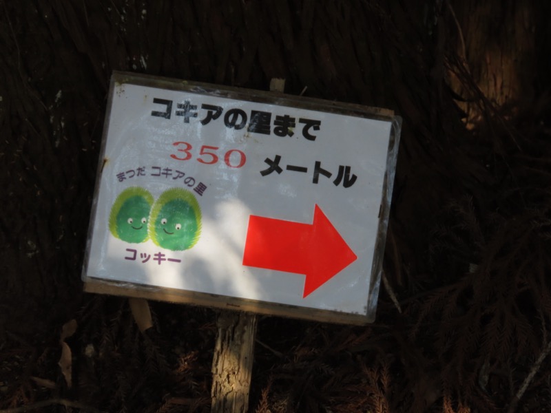 〓