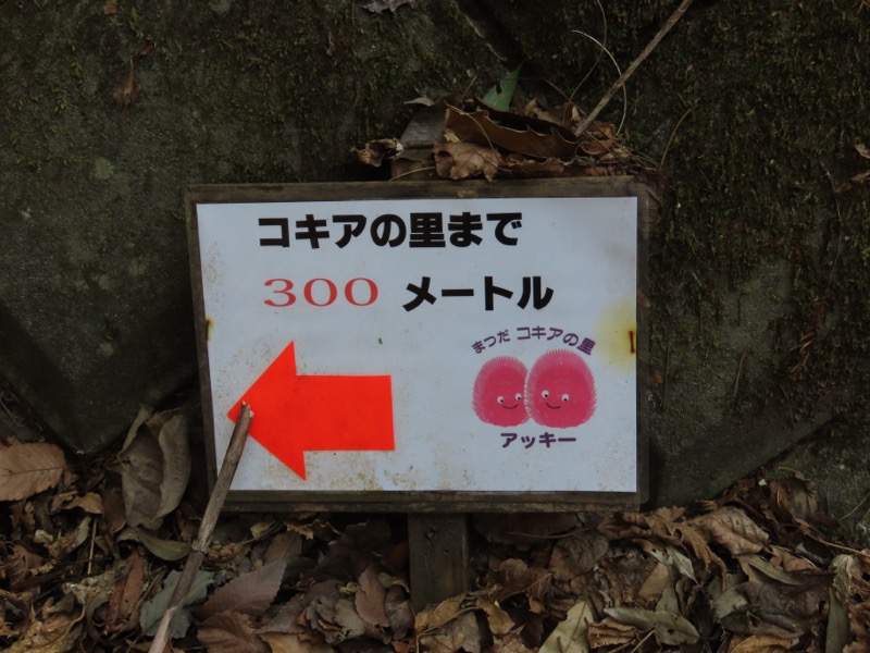 〓