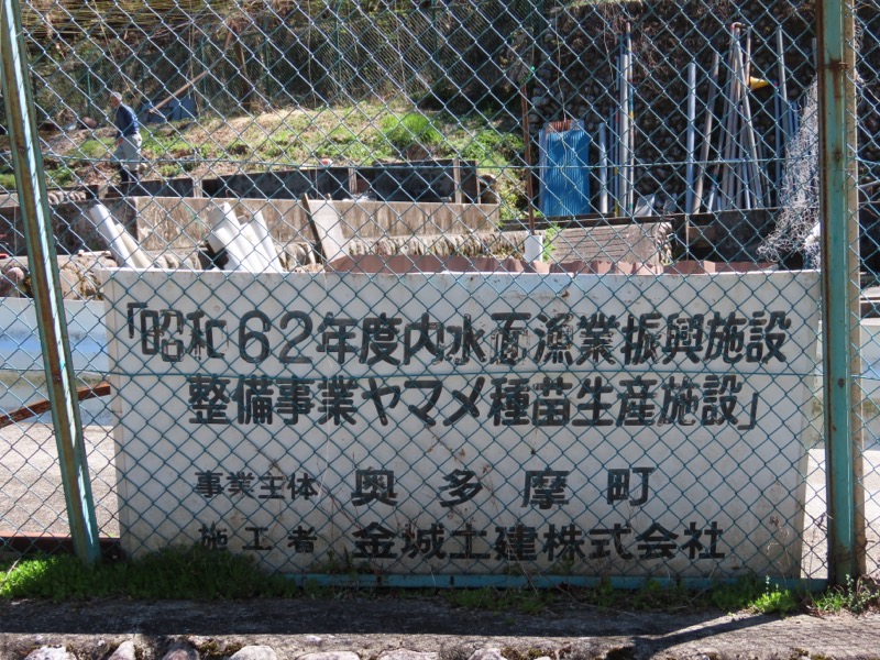 〓