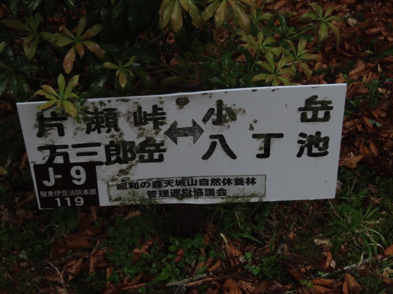 〓