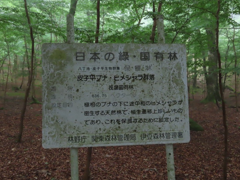 〓