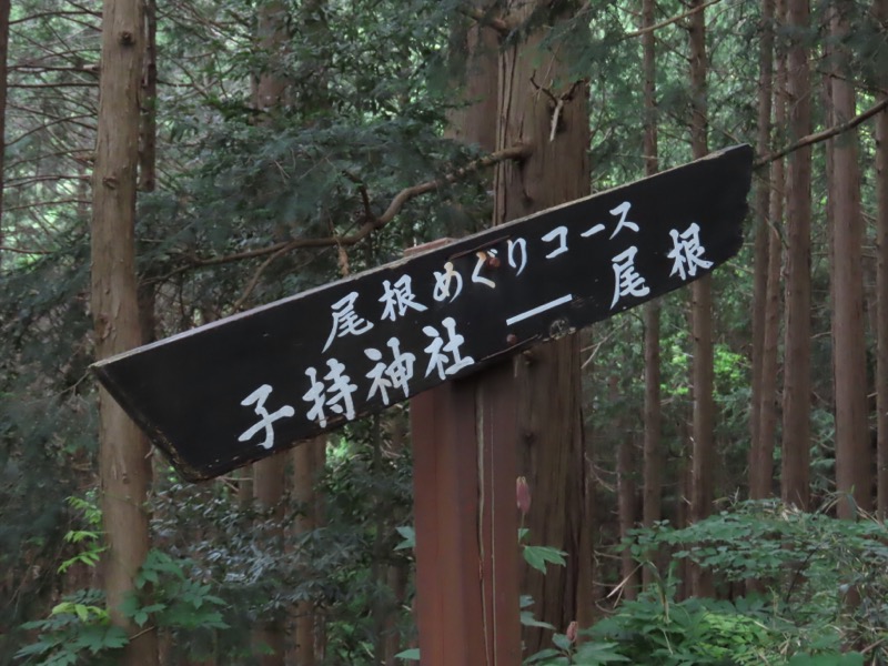 〓