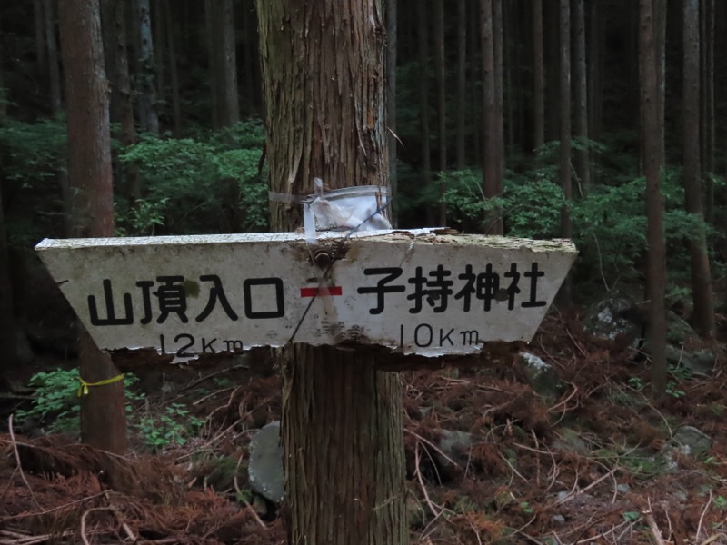 〓