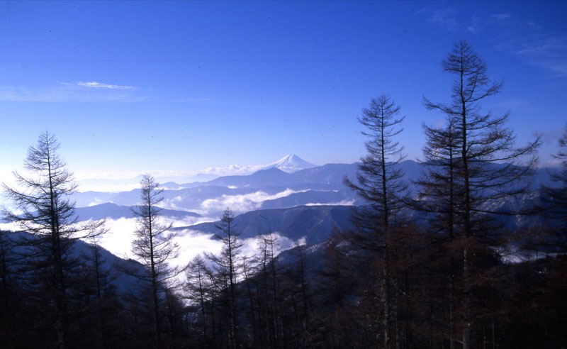 「雲取山」の富士山