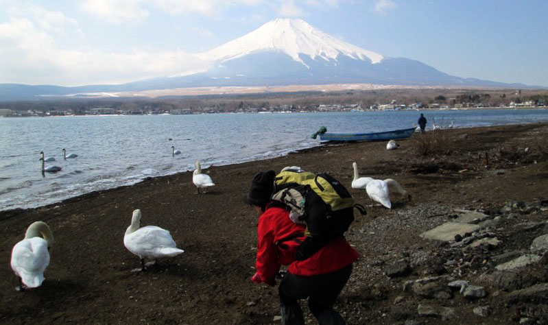 「石割山」の富士山