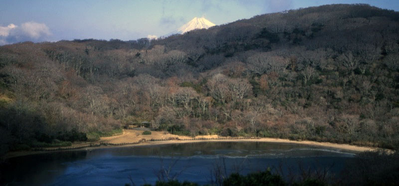 「天城山」の富士山