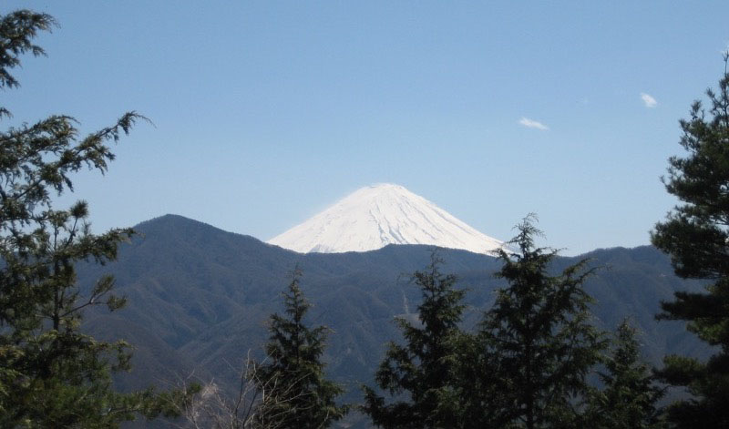 「達沢山」の富士山
