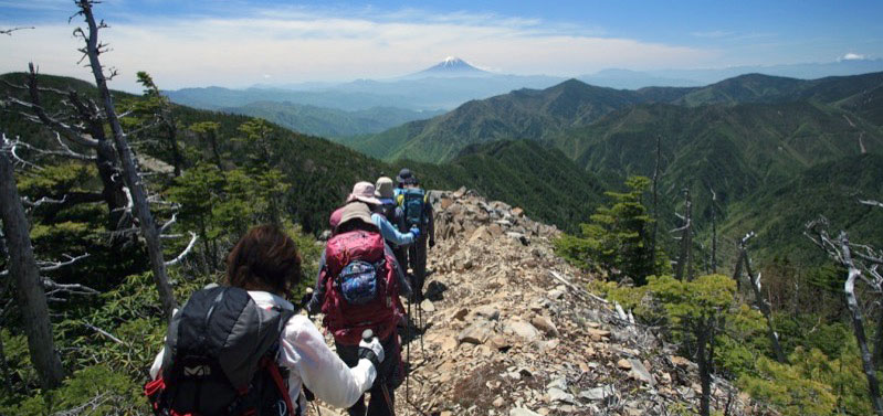 「甲武信ヶ岳」の富士山