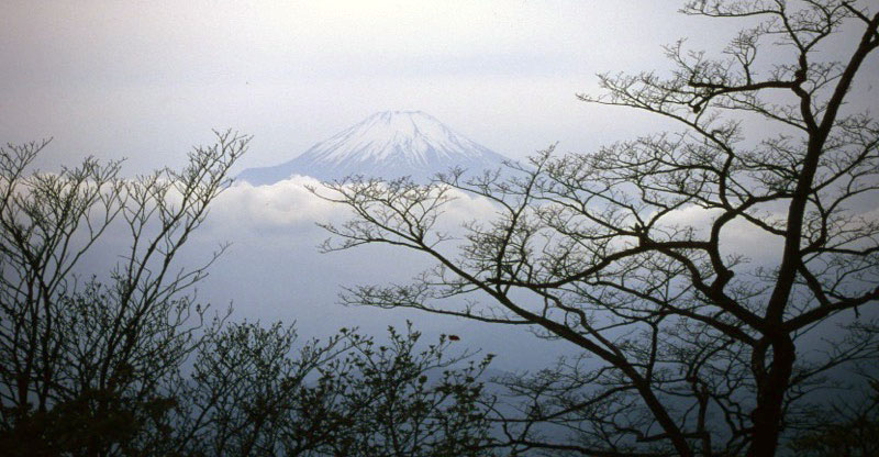 「檜洞丸」の富士山