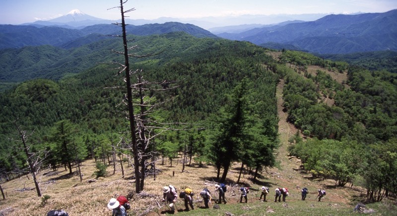 「笠取山」の富士山