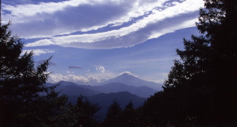 「権現山〜扇山」の富士山