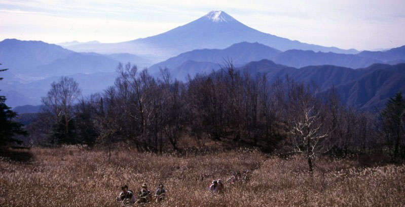 「雁ヶ腹摺山」の富士山