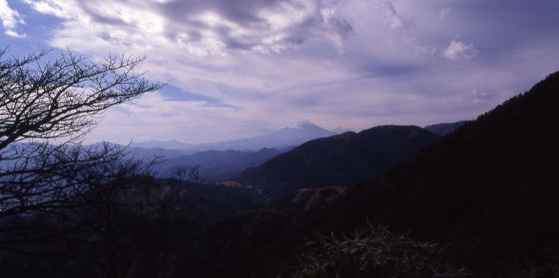 「大山」の富士山