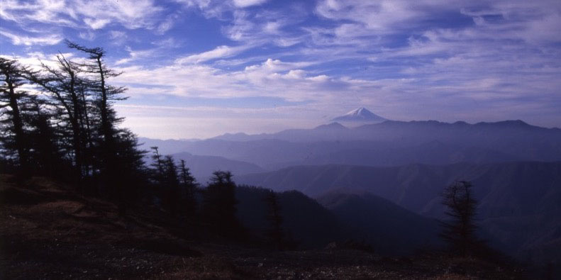 「雲取山」の富士山