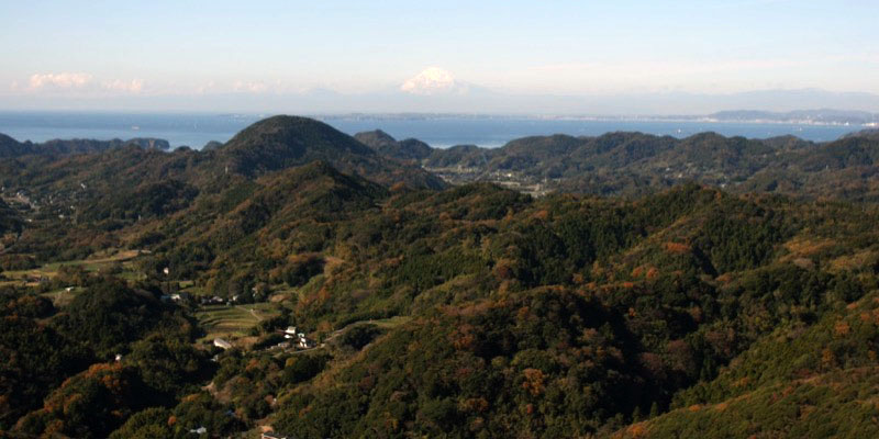 「伊予ヶ岳」の富士山