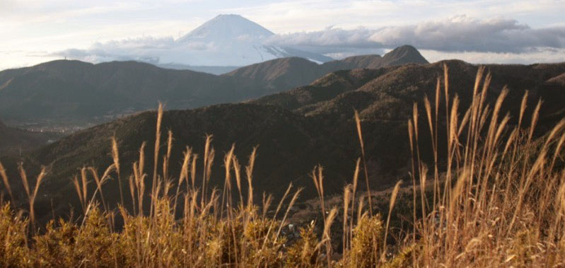 「箱根外輪山」の富士山