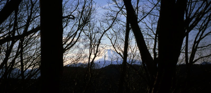 「北高尾山稜」の富士山